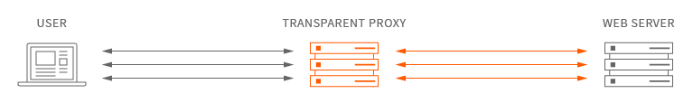 Graphic for transparent proxy by MaxCDN.